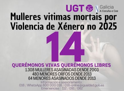 Contador: 14 mulleres asasinadas no 2025
